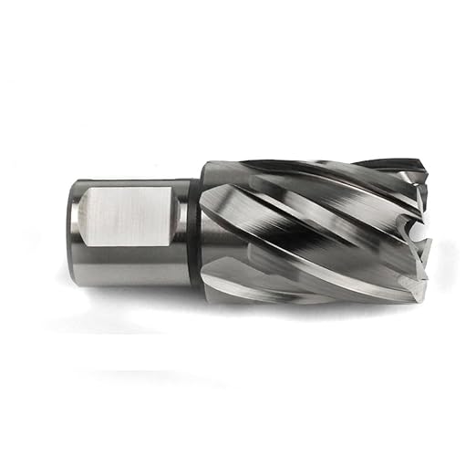 OSCARBIDE 1"x1"Annular Cutter,3/4 inch Weldon Shank,1 inch Cutting Diameter,1 inch Depth of Cut,2 Flat Mag Drill Bit with Pilot Pin for Magnetic Drill Press,1 Piece