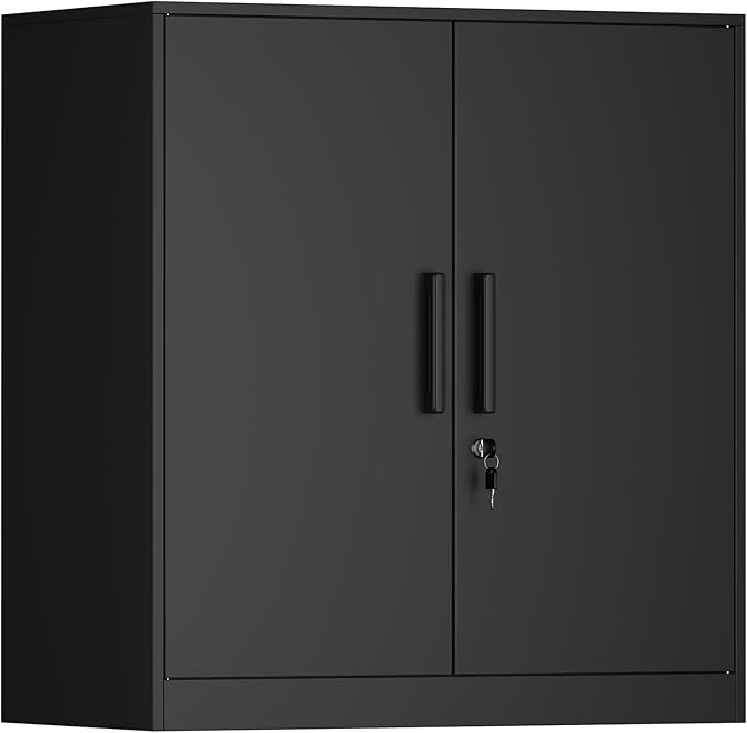 Metal Wall Cabinet,Garage Wall Cabinet with Handle,Lockable Storage Cabinets Wall Mounted with 2 Doors,Locking Cabinet with Shelves for Basement,Living Home,Black