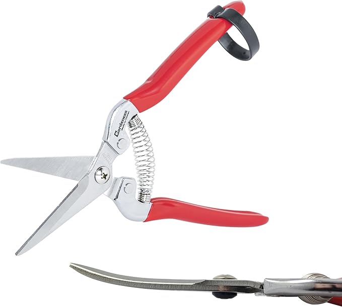 Gardeness Pruning Shear Curved Pruning Snip with Stainless Steel Serrated Blade, Screw Micro Tip Gardening Scissor for, Harvesting Fruit Picking, Orange, citrus and Grape
