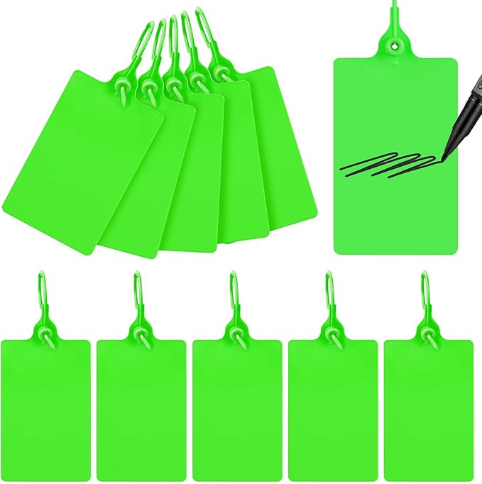 100 Plastic Tags Waterproof Tags for Labeling Shipping Tags Shipping Labels Security Tamper Seals Hanging Tags Writable Marker Ties Storage Tag with One Marker Pen (Green)