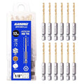 JEFE HEX 1/8" Hex Shank Drill Bits - 12 PCS HSS Titanium Drill Bits with Quick Change Shank Impact Driver Twist Drill Bit Set