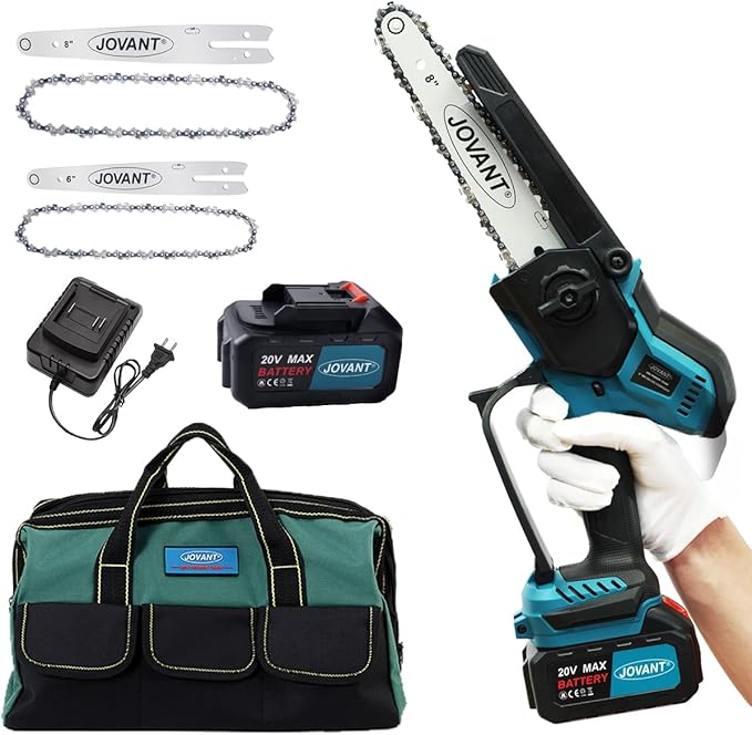 2-in-1 Chainsaw,Cordless Pole Saw,8 Inch&6 Inch Chain Saw with 4A Rechargeable Battery,Battery Powered Handheld Chainsaw for Tree Trimming and Wood Cutting