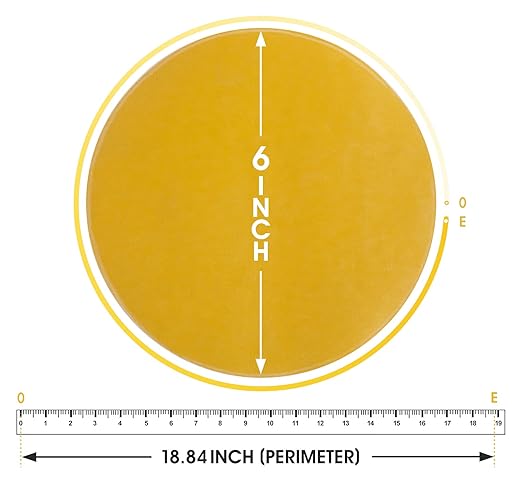 S SATC PSA Discs 6 Inch Sanding Disc 100 PCS Sanding Discs Self Stick 600 Grit Premium Aluminum Oxide Grain