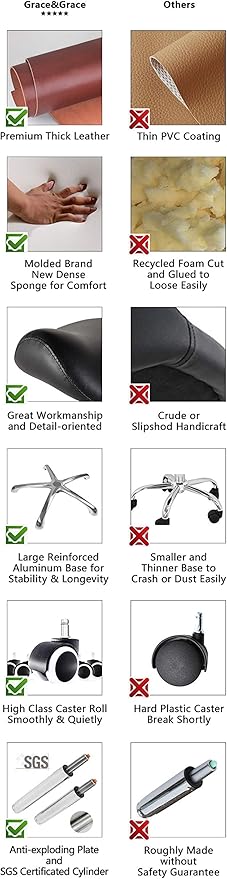 Grace & Grace Professional Saddle Stool Chair with Back Support, Hydraulic Ergonomic Saddle Seat Stool with Wheels for Clinic Dentist Spa Massage Salons Studio (Black, with Foot Rest)