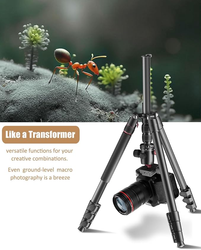 CAMBOFOTO 80"-Professional-DSLR-Camera-Tripod, SLR Ball Head Aluminum Photography Tri pod & Monopod with Carry Bag Compatible with Canon/Nikon/Binoculars/Telescope (Weight 3.6 Lbs, 33Lbs Load)