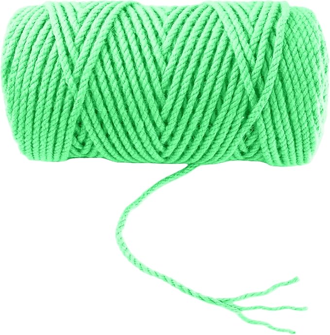 4mm x 200 Feet Light Green Jute Rope, Twine for Gardening Tomato Climbing Plant Tie Floristry Crafts Gift Wrapping Packing Decor