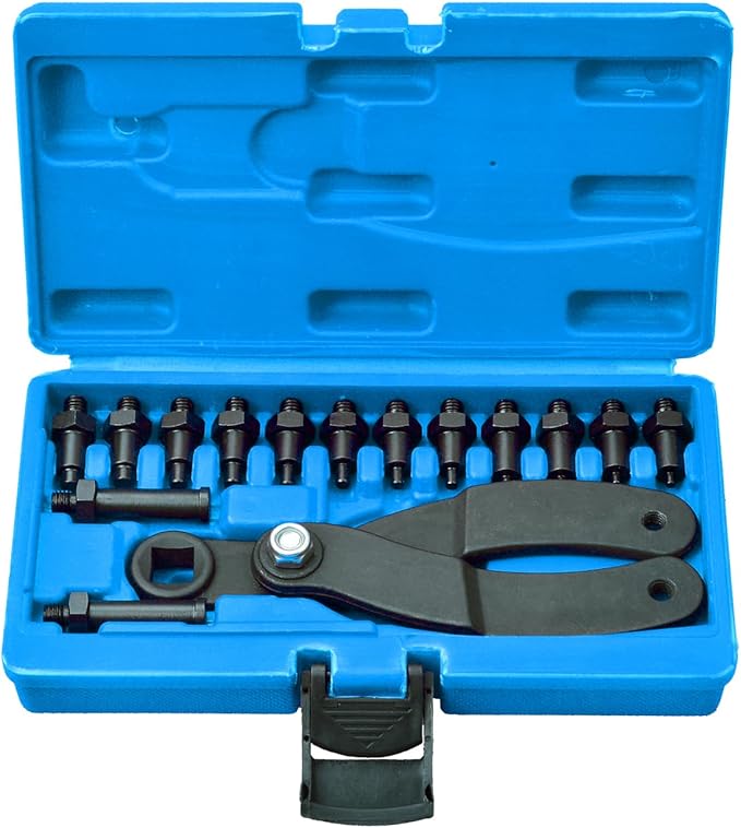 LainKeen 15Pc Universal Camshaft Pulley Holder Tools Kit,Variable Pin Spanner Wrench Kit Adjustable Fan Clutch Pully Holder Wrench with Pins