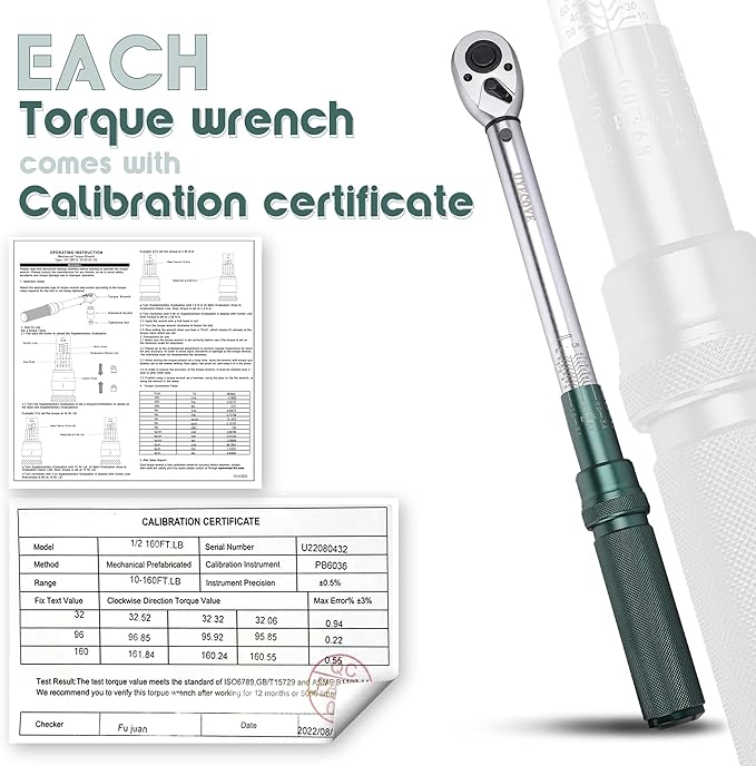 1/2-Inch Drive Click Torque Wrench, Torque Wrench 1/2 Drive 10-160FT.LB/13.6-217N.M with a XIPE Storage Tray, Green