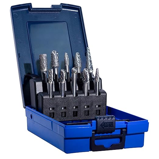 Carbide Burr Set,Tungsten Carbide Cutting Tools, Double Cut Rotary Files 1/4" Shank 10PCS Carbide Burr Bits High-Speed Spiral Fils for Metal, Plastic, Woodworking