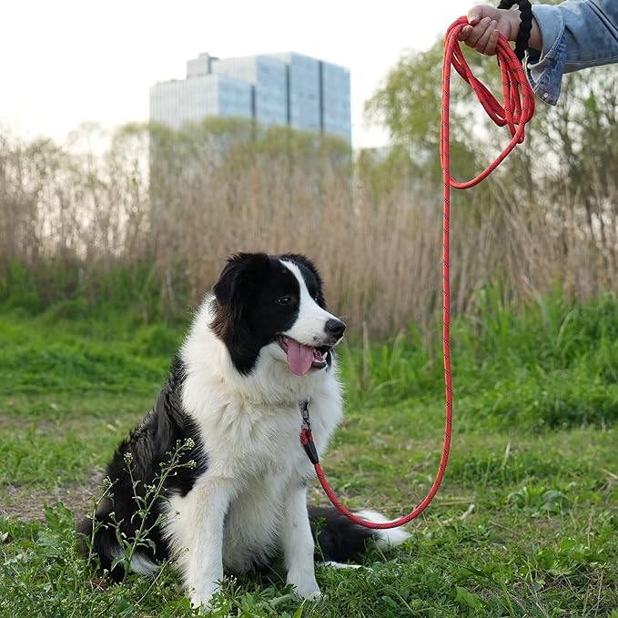 NTR Heavy Duty Dog Leash, 15FT Training Leash with Swivel Lockable Hook, Padded Handle and Highly Reflective Threads, Dog Lead for Walking, Hunting, Camping, Backyard for Small Medium Large Dog Red