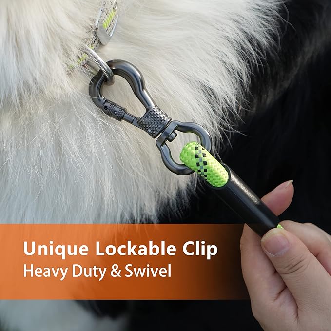 NTR Long Leash for Dog Training, 100 FT Leashes with Swivel Lockable Hook and Comfortable Padded Handle, Dog Lead for Walking, Hunting, Camping, Yard for Small Medium Large Dogs