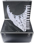 Accusize Industrial Tools 0-12'' by 0.0001'', 12 Pcs Ultra-Precision Outside Micrometers Set with Carbide Tips, Eg00-0912