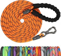 NTR 10FT Strong Dog Leash, Long Dog Leash with Swivel Lockable Hook and Comfortable Padded Handle, Cat Puppy Leash Lead for Small Medium Large Dogs Training, Playing, Camping,or Backyard