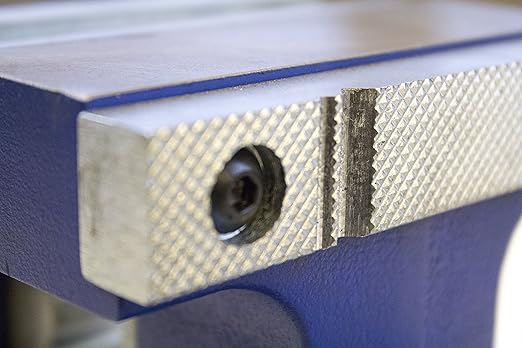 Yost Vises 855-D2 Industrial Grade Reversible Vise, 5.5", Blue